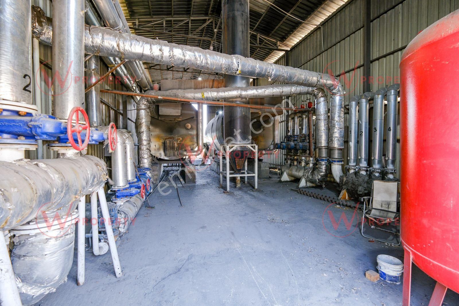 W Property 37.155 M2 Yüksek Teknolojik Topraksız Tarım Serası - Görsel 27