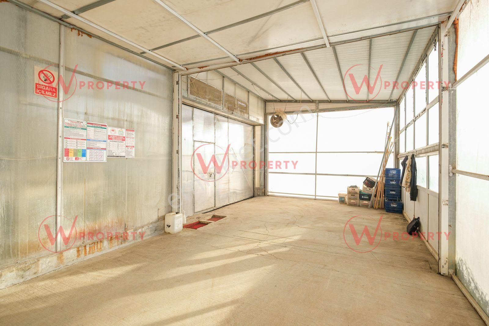 W Property 37.155 M2 Yüksek Teknolojik Topraksız Tarım Serası - Görsel 19