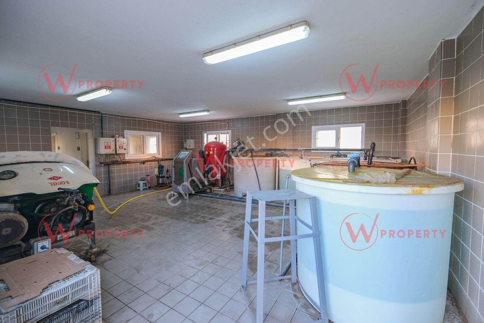 W Property 37.155 M2 Yüksek Teknolojik Topraksız Tarım Serası - Görsel 26