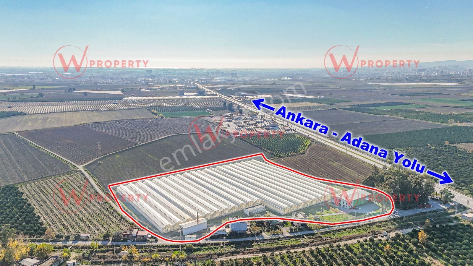W Property 37.155 M2 Yüksek Teknolojik Topraksız Tarım Serası