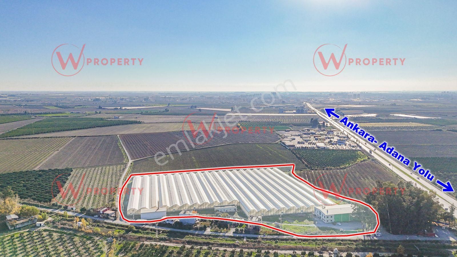 W Property 37.155 M2 Yüksek Teknolojik Topraksız Tarım Serası - Görsel 34