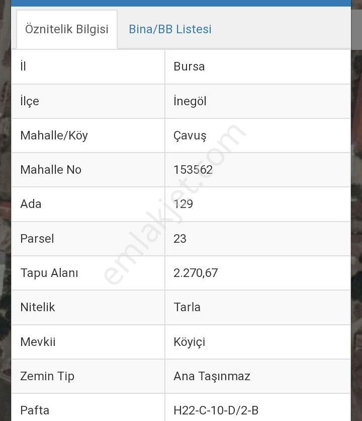 Bursa İnegöl Çavuş Köy Mah 2.270m2içinde 50 Adet Cevizağacı İmar Dibinde Satılık Tarla - Görsel 2