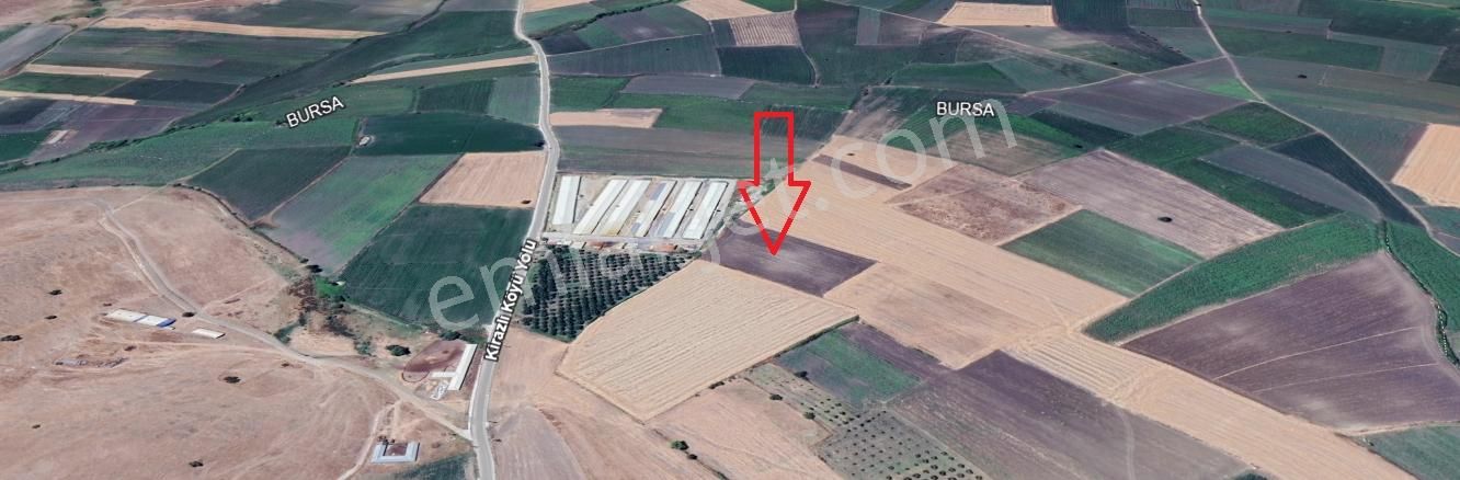 Pw Plus Karacabey Danışment Yatırımlık Tarla - Görsel 5