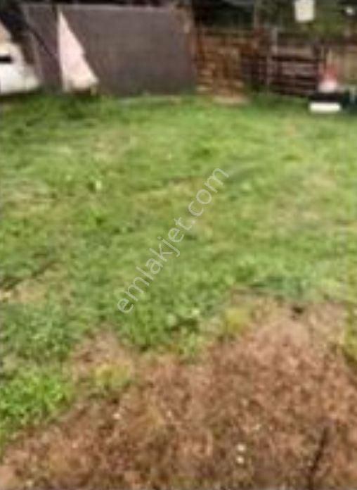 Bursa İnegöl Edebey Mah 2.250m2 Yola Sıfır Köy İçinde İçinde Evi Olan Satılık Tarla - Görsel 4