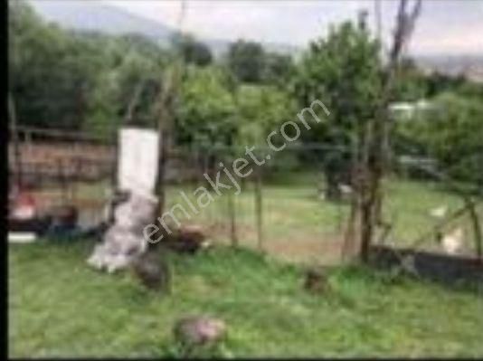 Bursa İnegöl Edebey Mah 2.250m2 Yola Sıfır Köy İçinde İçinde Evi Olan Satılık Tarla