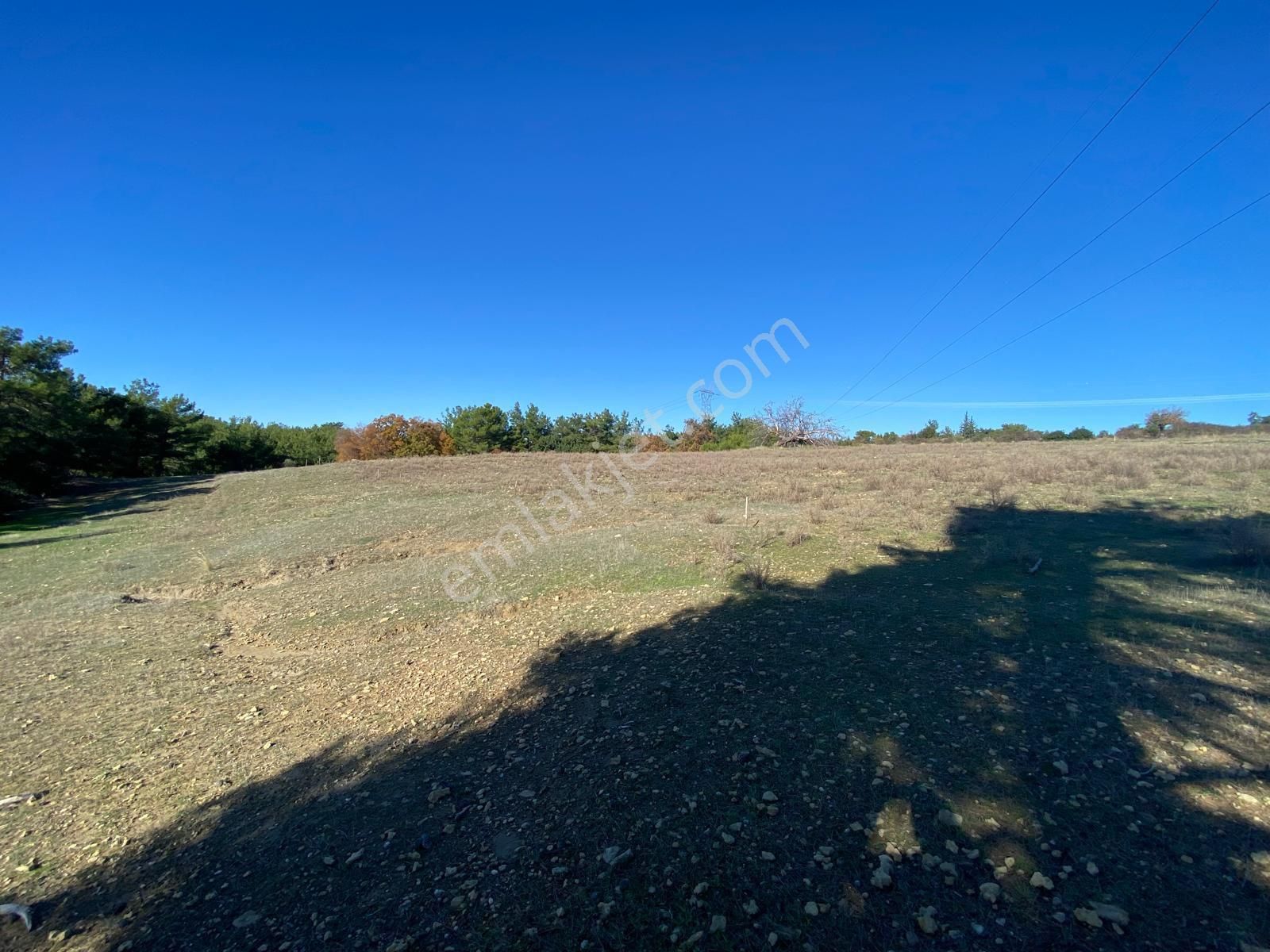 Gündoğduda D400 Karayoluna Yakın Yolu Olan Mustaki Sera Yeri - Görsel 3