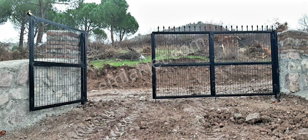 İzmir Dikili Kocaoba Köyü'nde Satılık Bakımlı&verimli Zeytinlik - Görsel 17