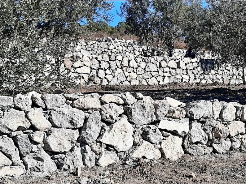 İzmir Dikili Kocaoba Köyü'nde Satılık Bakımlı&verimli Zeytinlik - Görsel 23