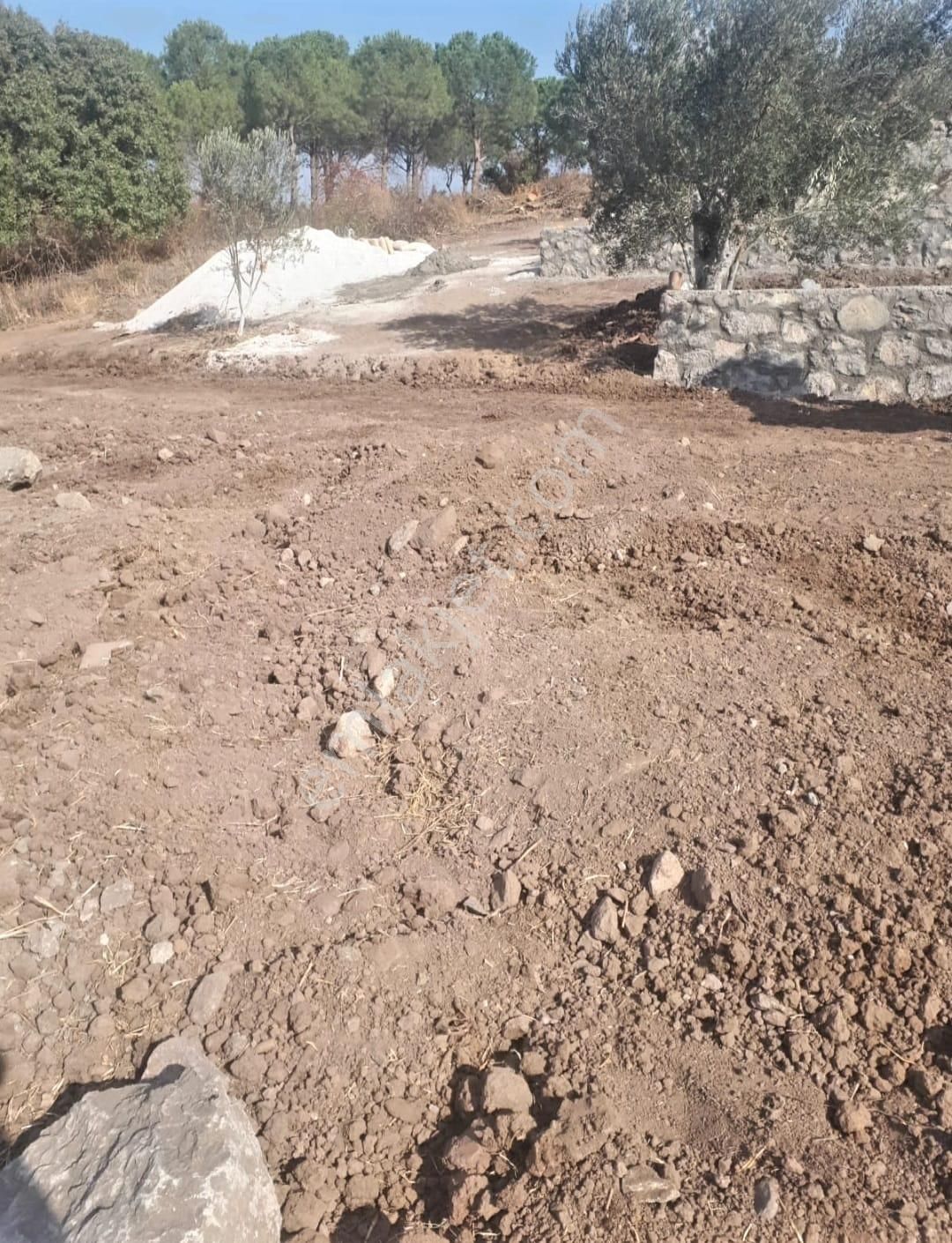 İzmir Dikili Kocaoba Köyü'nde Satılık Bakımlı&verimli Zeytinlik - Görsel 24