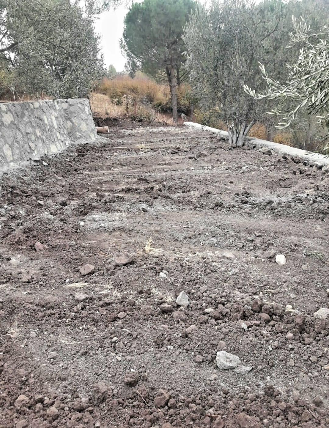 İzmir Dikili Kocaoba Köyü'nde Satılık Bakımlı&verimli Zeytinlik - Görsel 21