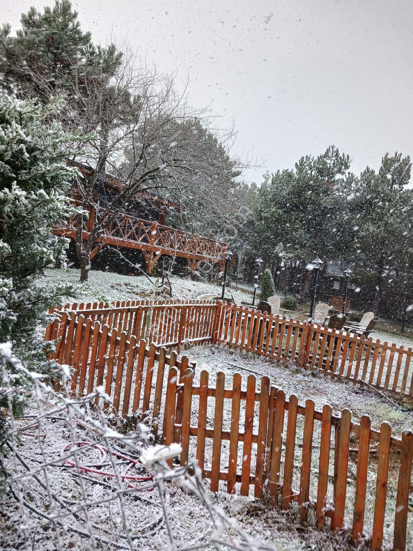 Bursa İznik Çamoluk Mahallesinde Satılık Tarl