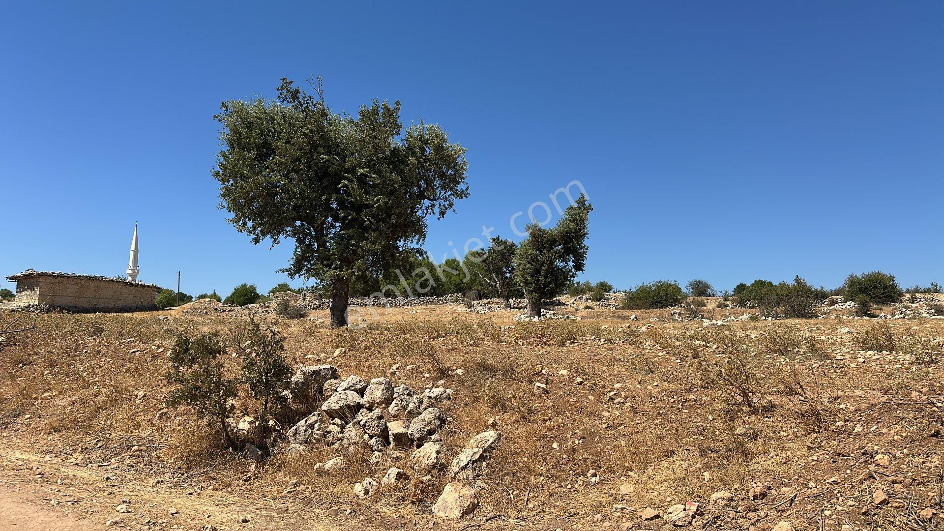 Wisrem'den Gülnar Çukurkonakta Yaylalık Arsa