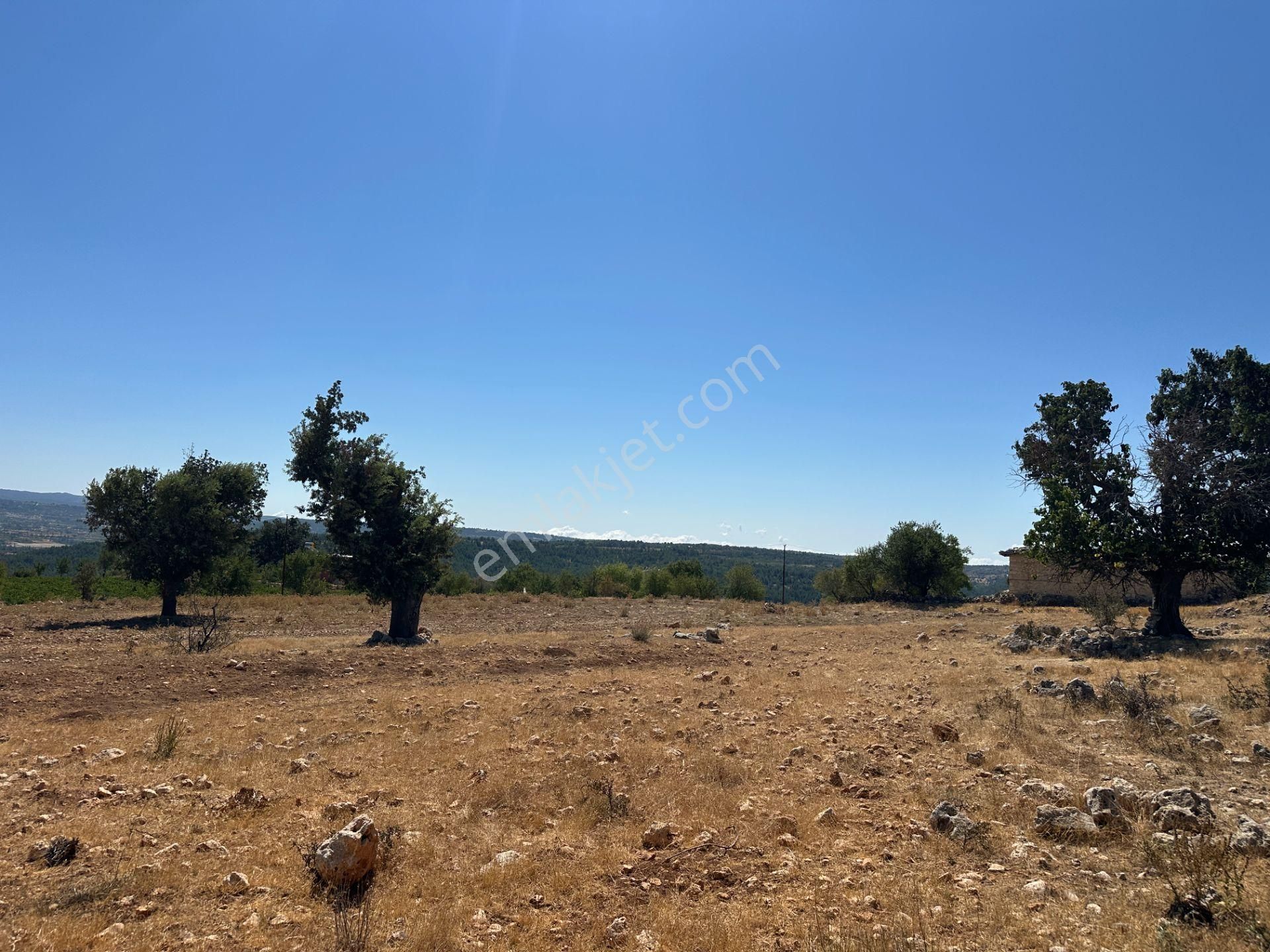 Wisrem'den Gülnar Çukurkonakta Yaylalık Arsa - Görsel 6