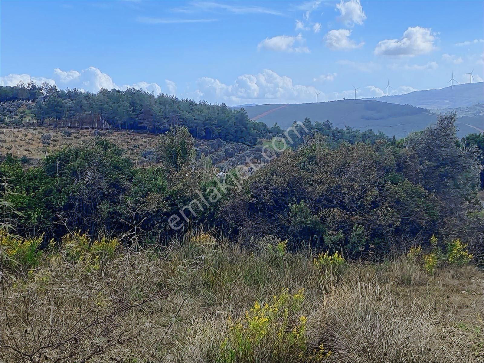 İzmir Selçuk Havutçulu Köyünde İmar Sınırı İçinde Satılık Tarla - Görsel 8