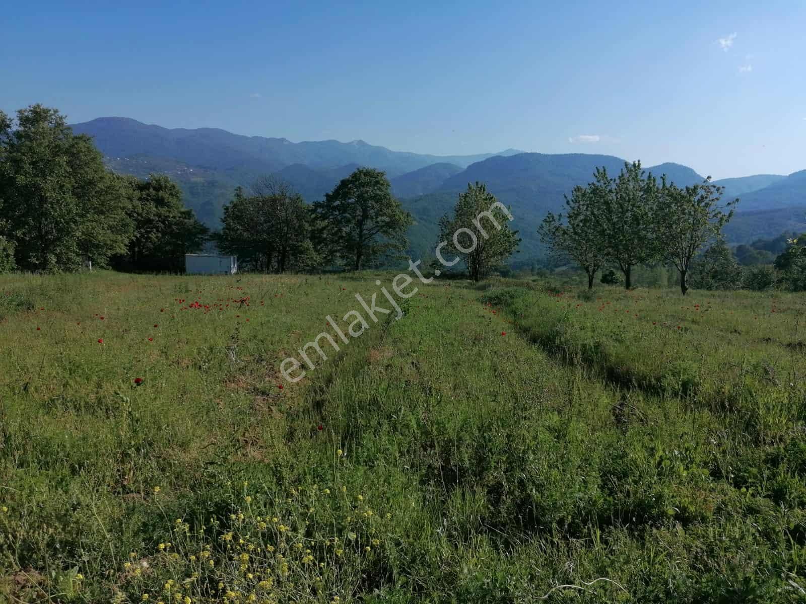 Bursa İnegöl Eski Köy Mah 3.173.49m2içinde Konteyner Su Var Ev Takaslı Satılık Tarla