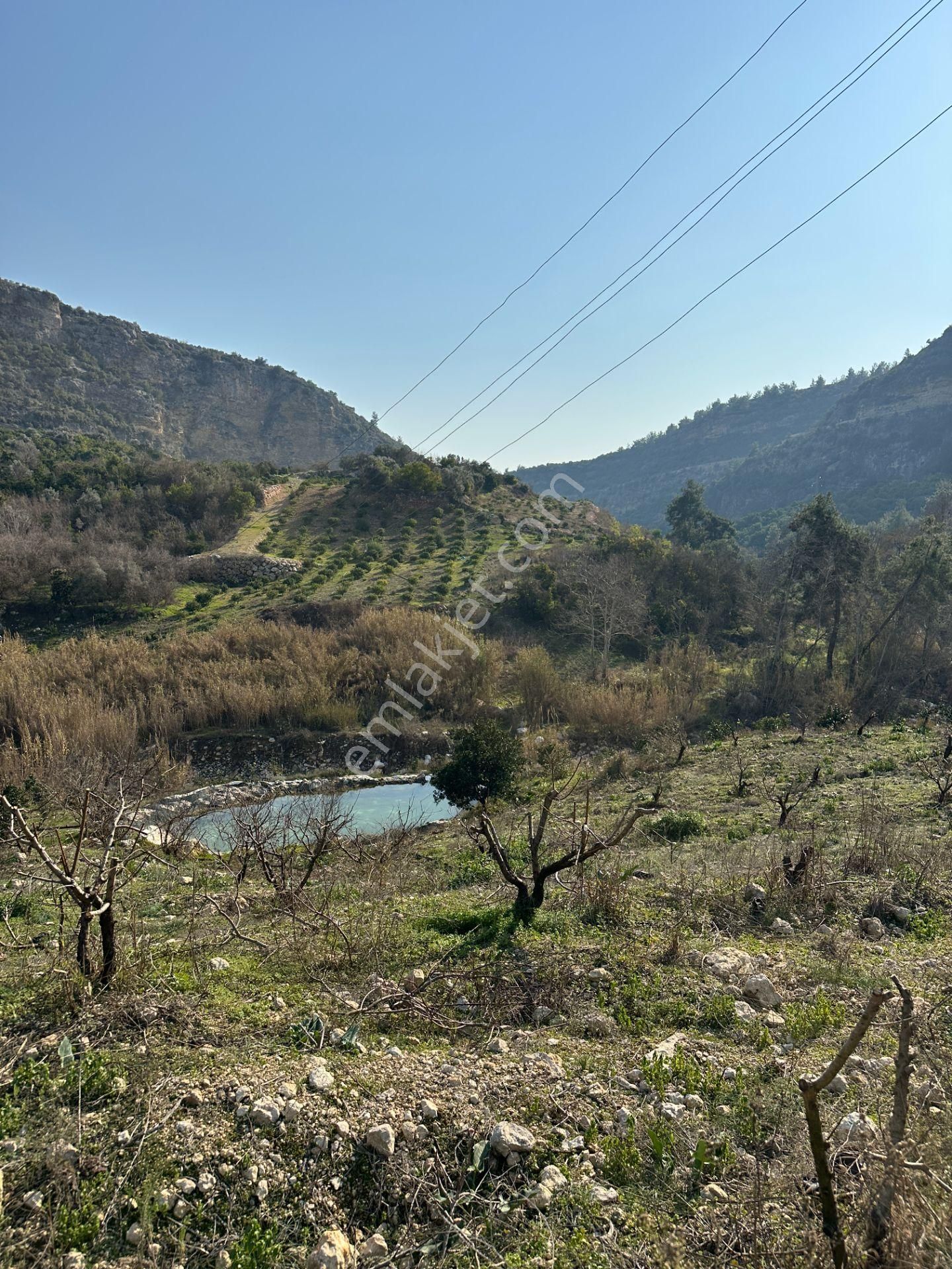Wisrem'den Son Fırsat!!! Karahacılıda 2080 M2 Yatırımlık Bahçe - Görsel 35