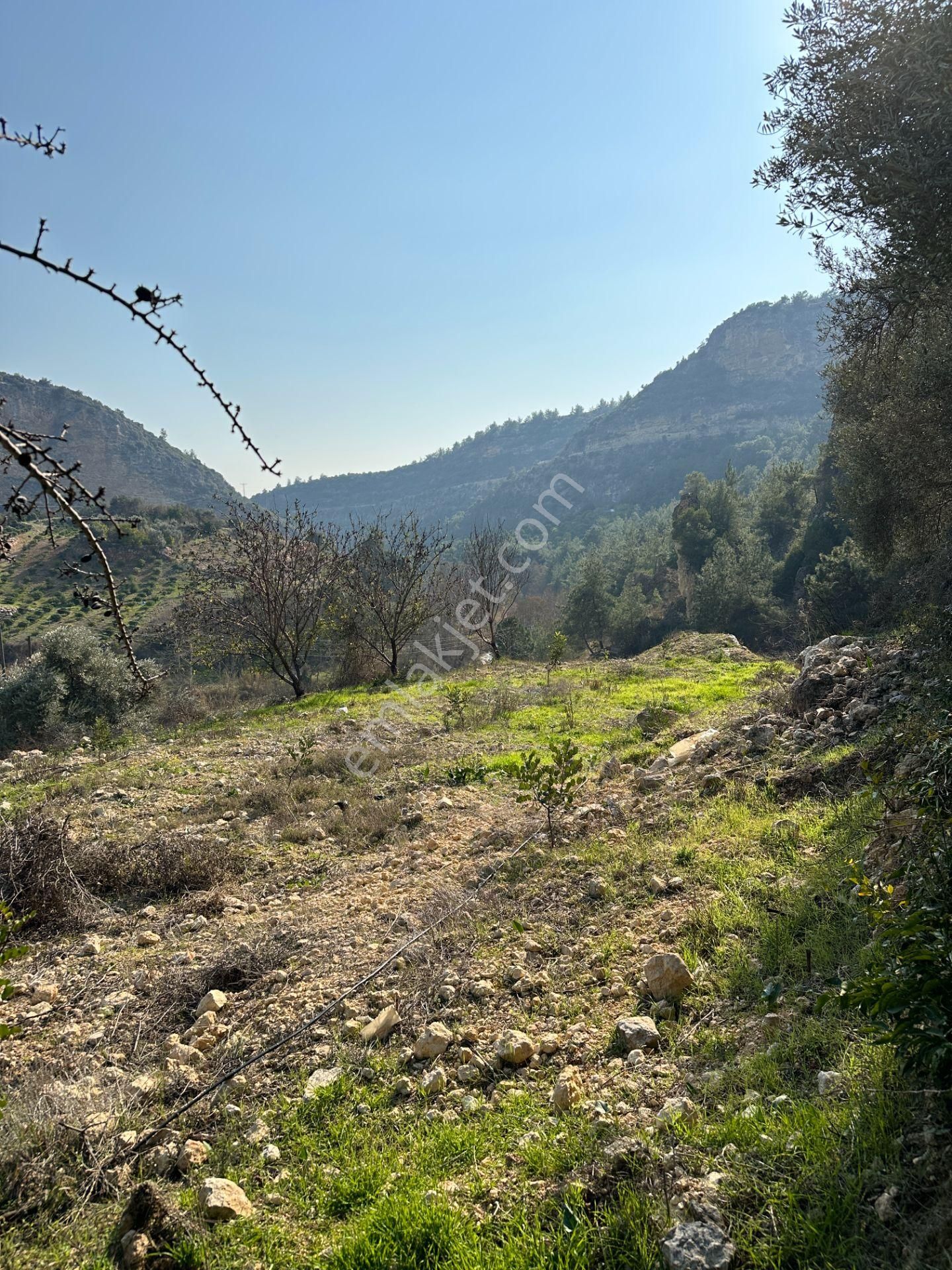 Wisrem'den Son Fırsat!!! Karahacılıda 2080 M2 Yatırımlık Bahçe - Görsel 10