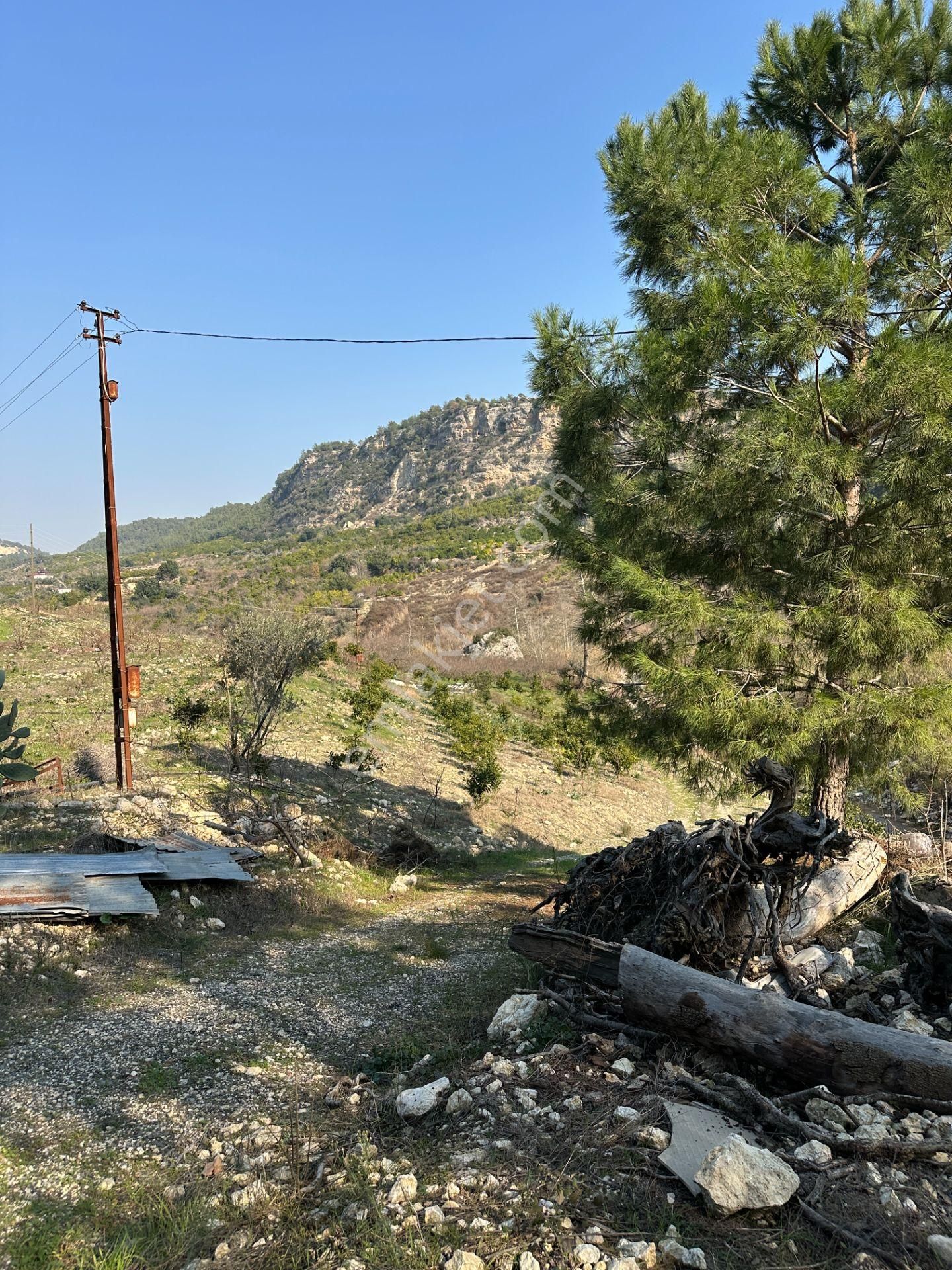 Wisrem'den Son Fırsat!!! Karahacılıda 2080 M2 Yatırımlık Bahçe - Görsel 23