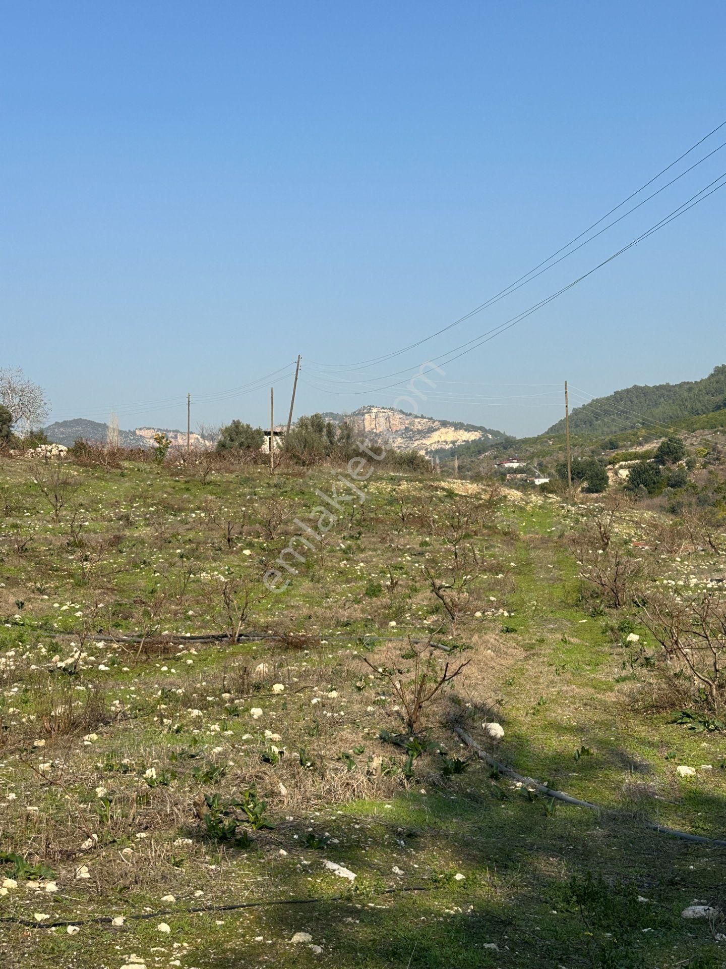 Wisrem'den Son Fırsat!!! Karahacılıda 2080 M2 Yatırımlık Bahçe - Görsel 29