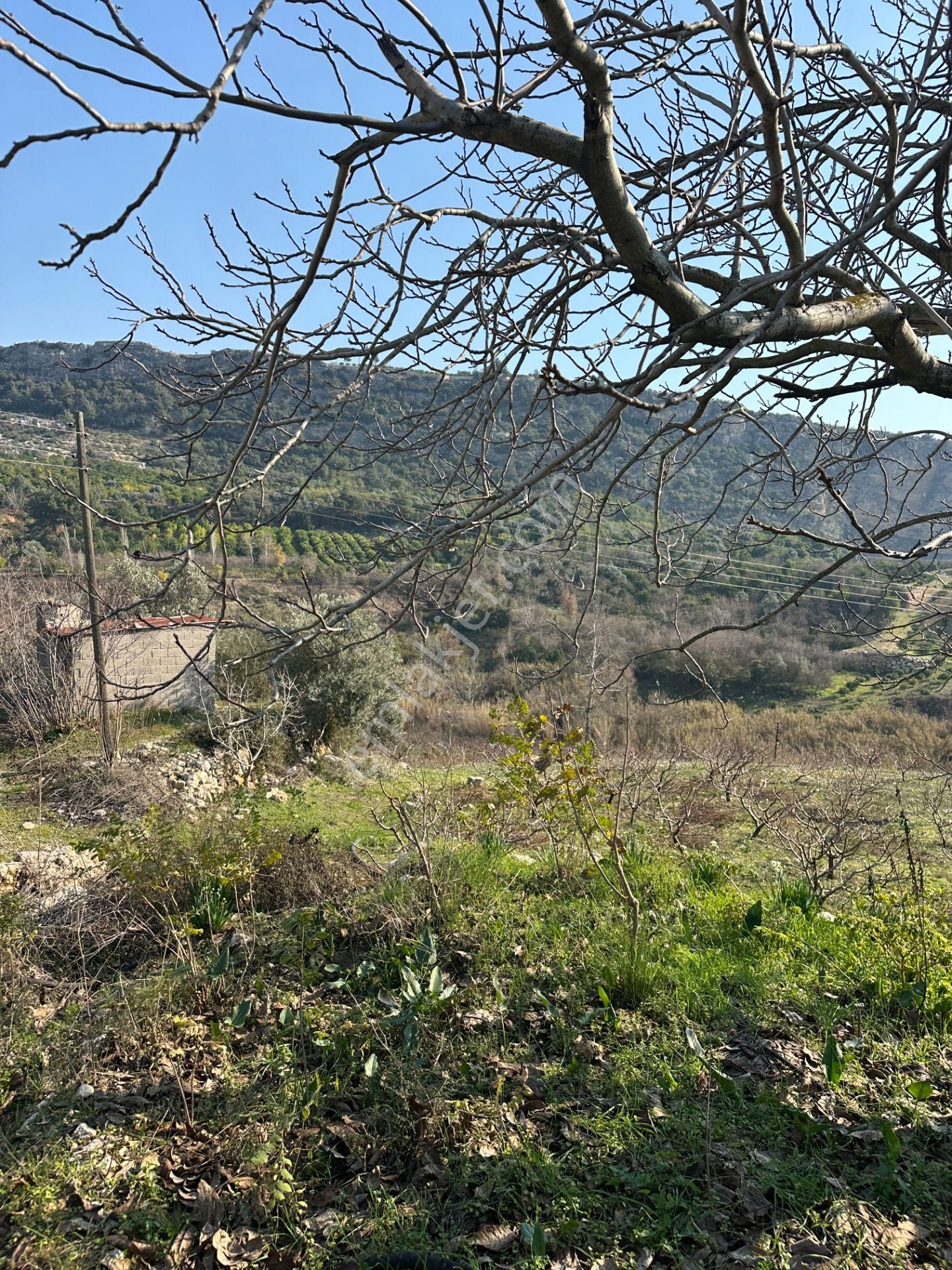 Wisrem'den Son Fırsat!!! Karahacılıda 2080 M2 Yatırımlık Bahçe - Görsel 8