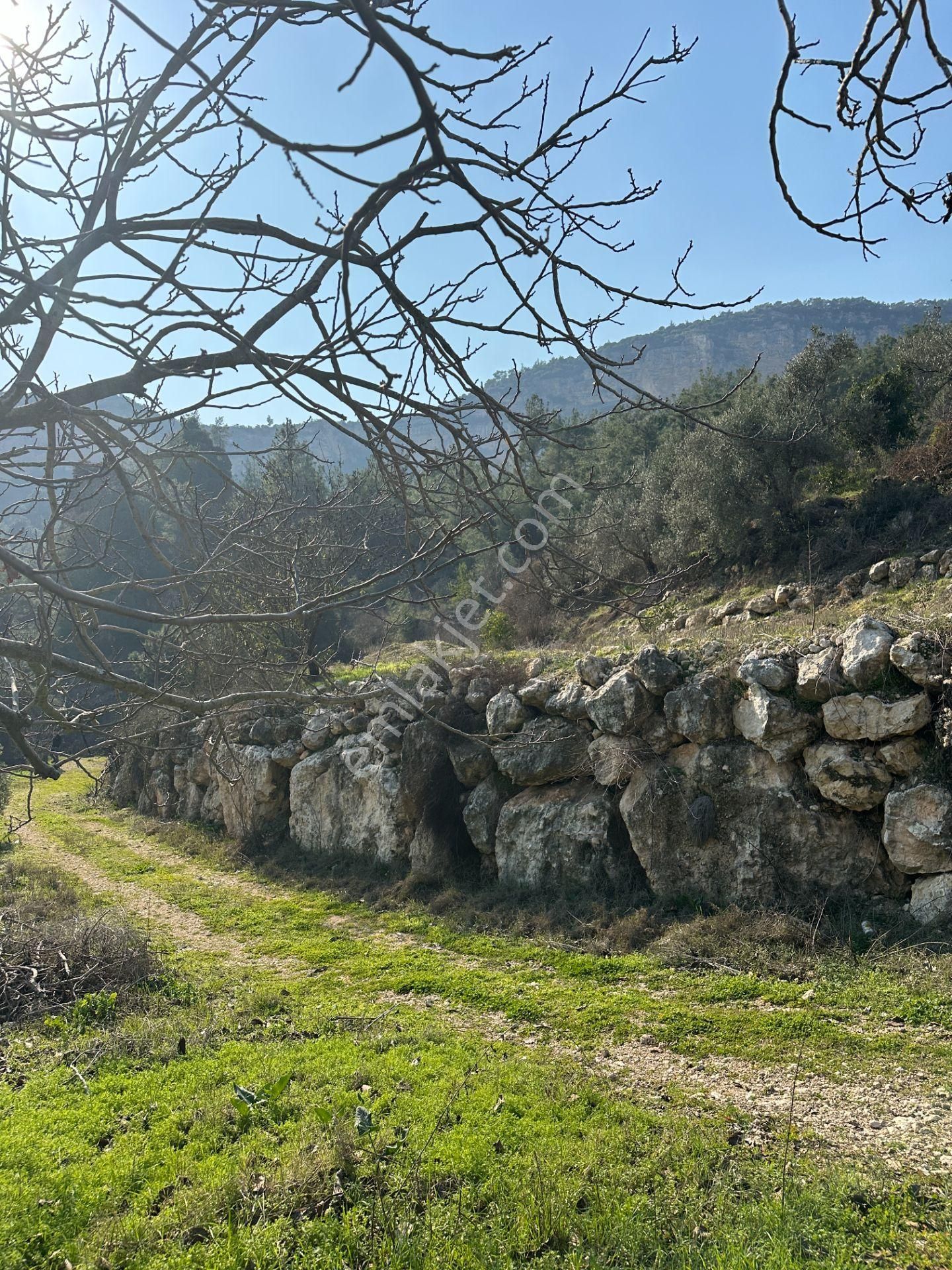 Wisrem'den Son Fırsat!!! Karahacılıda 2080 M2 Yatırımlık Bahçe - Görsel 9