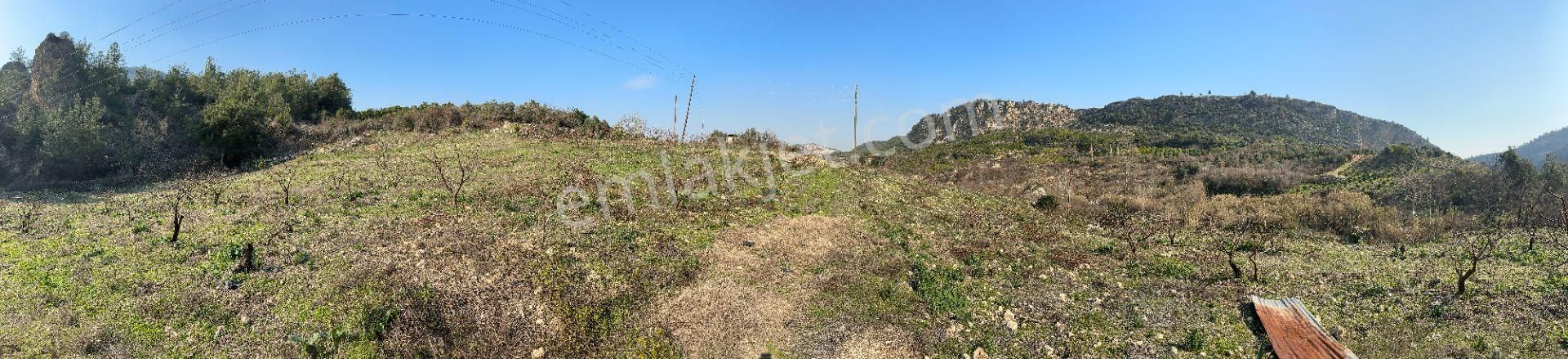Wisrem'den Son Fırsat!!! Karahacılıda 2080 M2 Yatırımlık Bahçe - Görsel 32