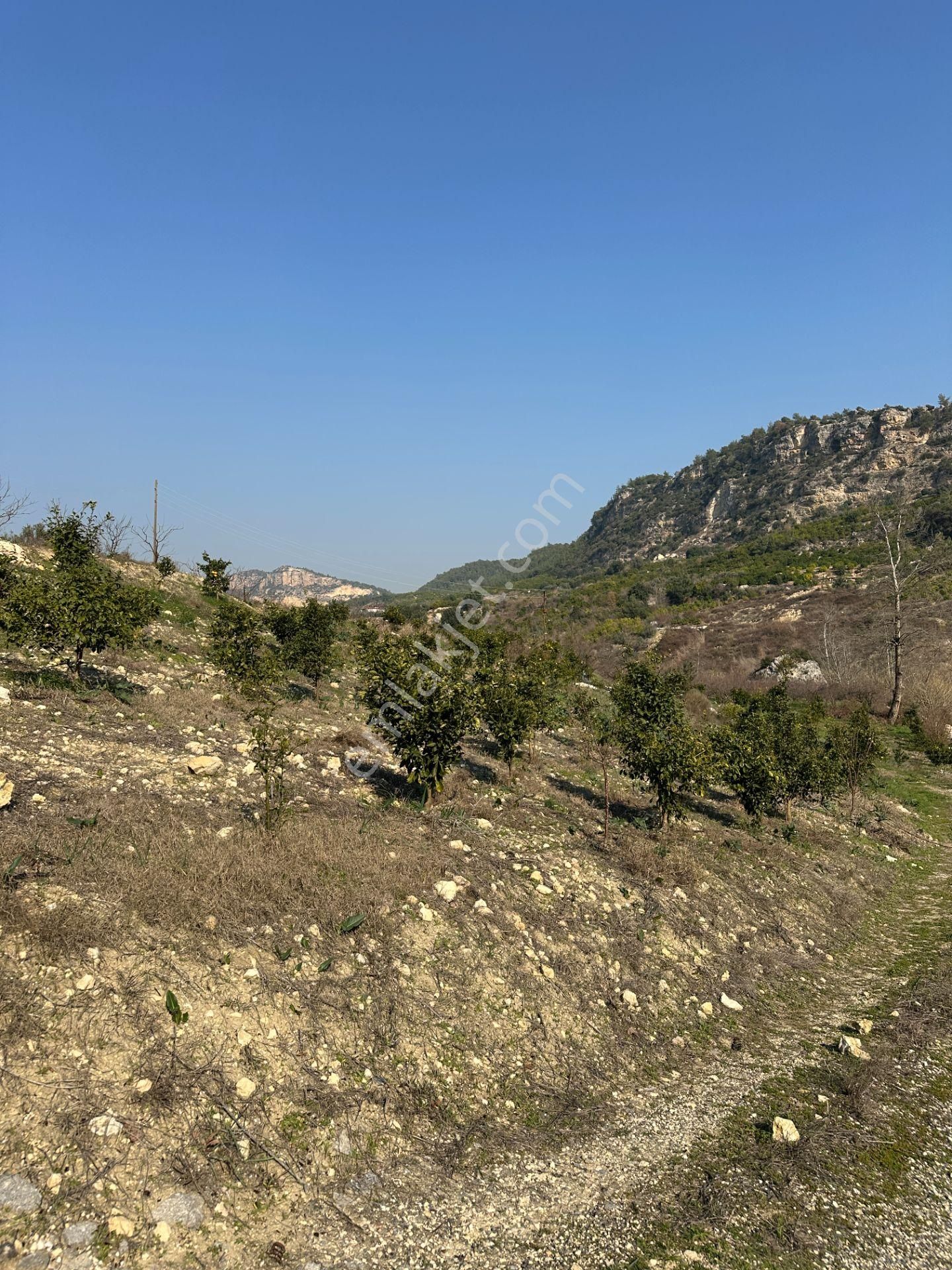 Wisrem'den Son Fırsat!!! Karahacılıda 2080 M2 Yatırımlık Bahçe - Görsel 25