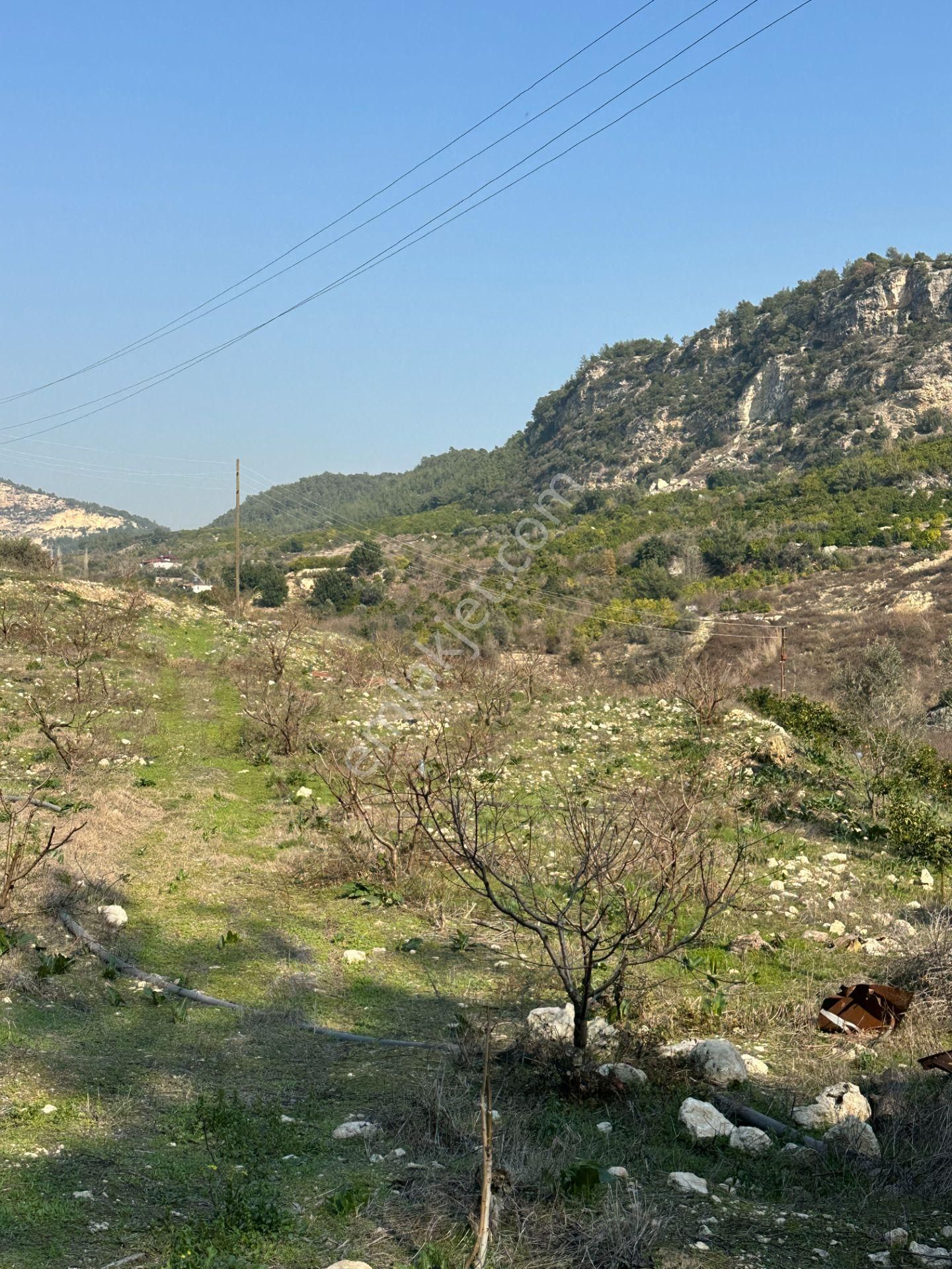 Wisrem'den Son Fırsat!!! Karahacılıda 2080 M2 Yatırımlık Bahçe - Görsel 28
