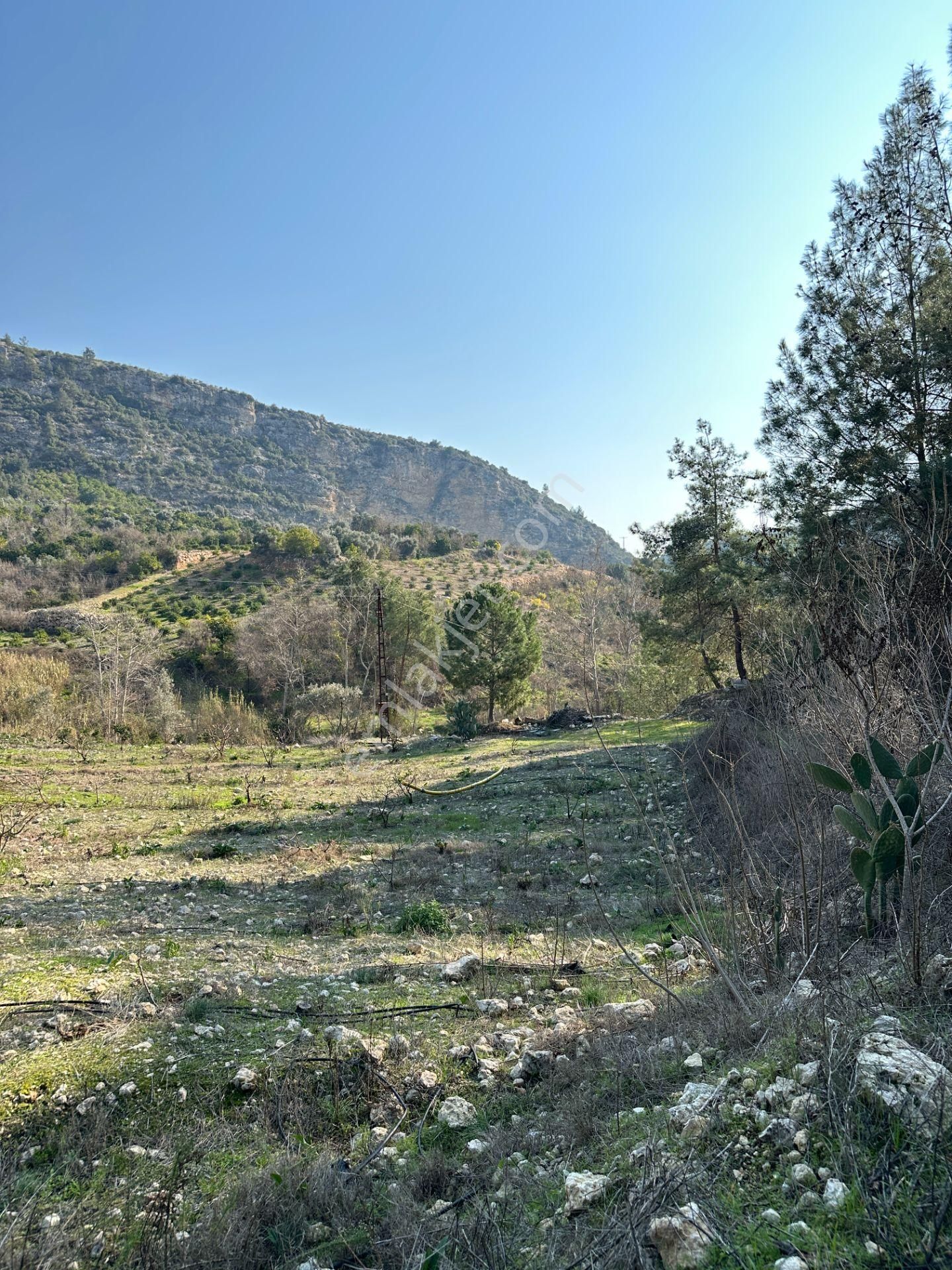 Wisrem'den Son Fırsat!!! Karahacılıda 2080 M2 Yatırımlık Bahçe - Görsel 22