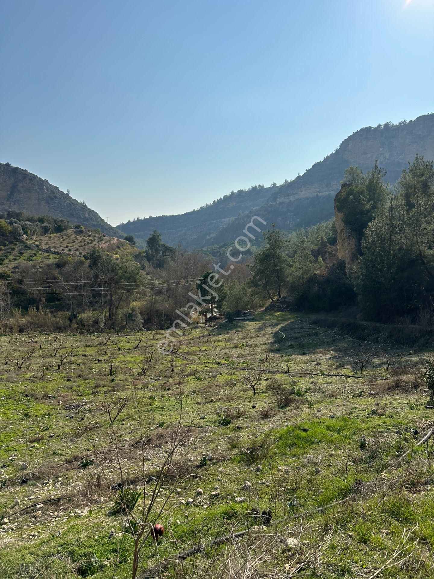 Wisrem'den Son Fırsat!!! Karahacılıda 2080 M2 Yatırımlık Bahçe - Görsel 17
