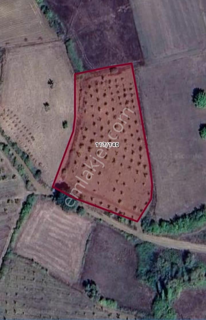 Bursa İnegöl Gündüzlü Mah 6.267m2 İmara 700m2 Mesafe Oylat Kaplıcaya Yakın Ana Yola Satılık Tarla