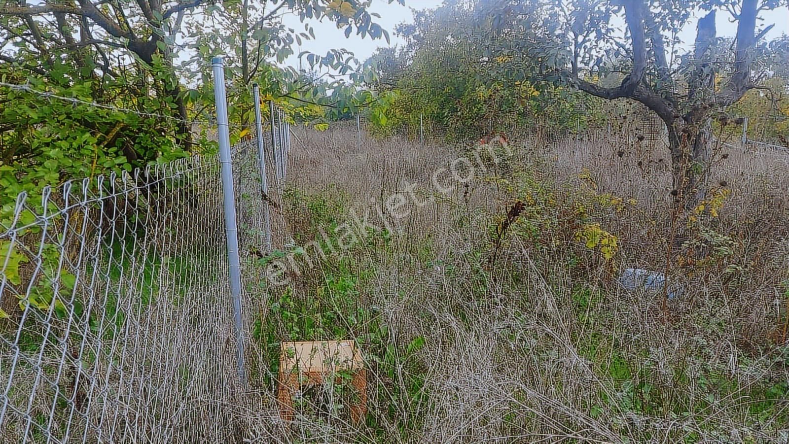 Bursa Nilüfer Kayapa Da 258 M2 Hobi Bahçesi - Görsel 20