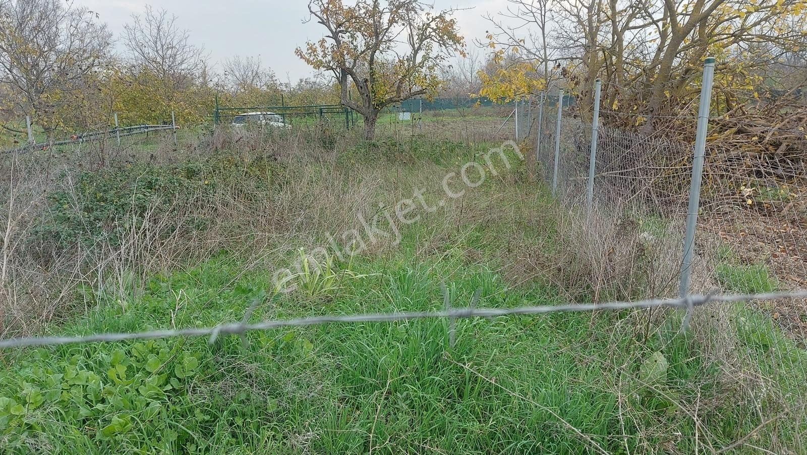 Bursa Nilüfer Kayapa Da 258 M2 Hobi Bahçesi - Görsel 7