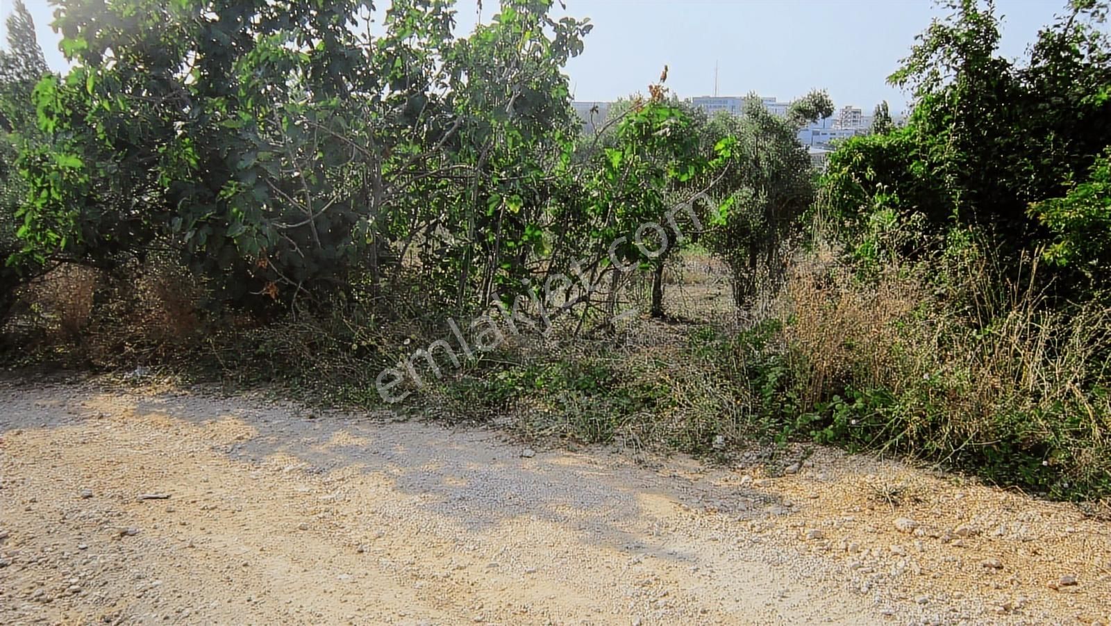 Bursa Nilüfer Kayapa 5000 Lik Villa Planında 632 M2 Arazi - Görsel 2