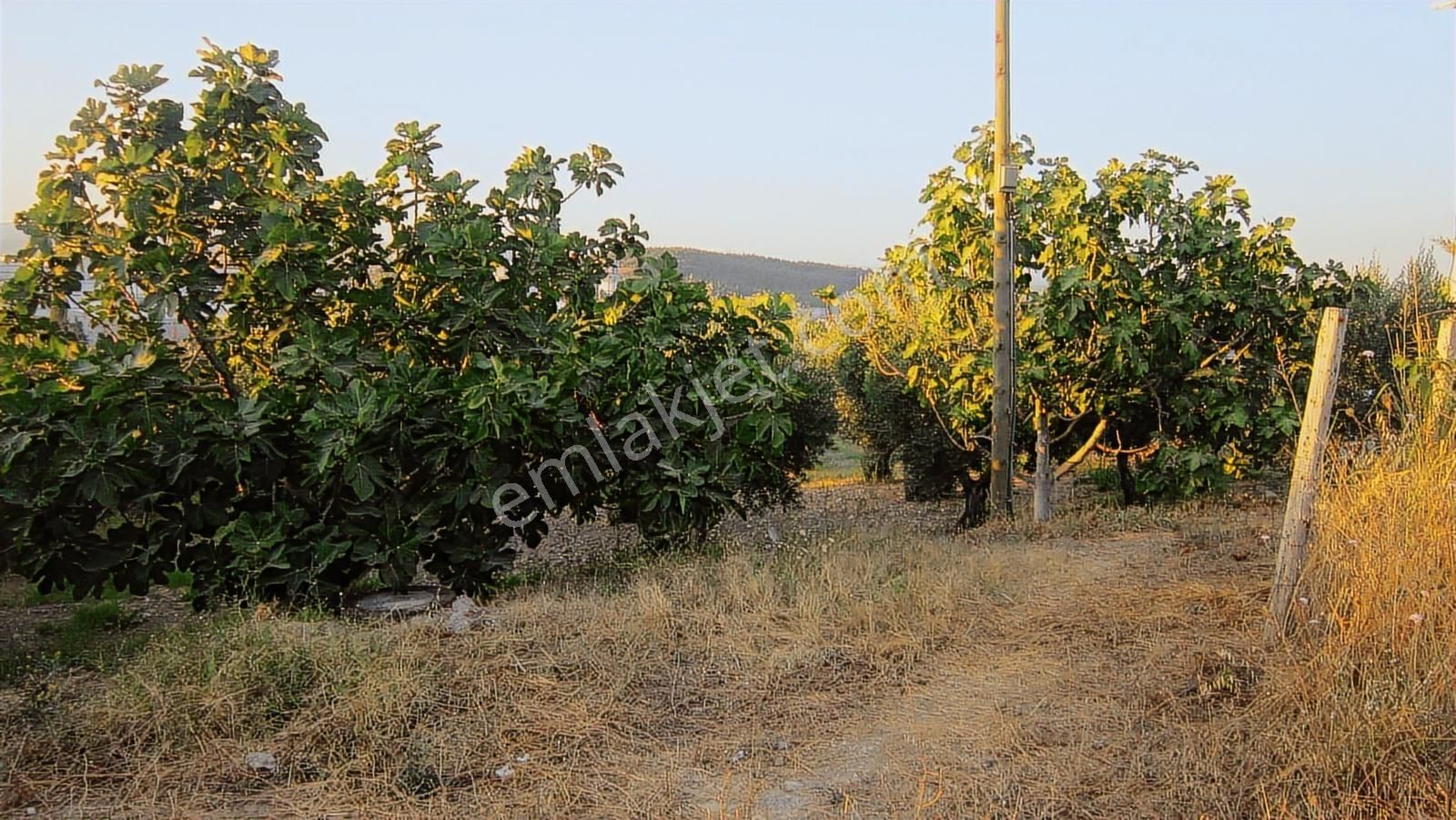 Bursa Nilüfer Kayapa 5000 Lik Villa Planında 632 M2 Arazi - Görsel 24