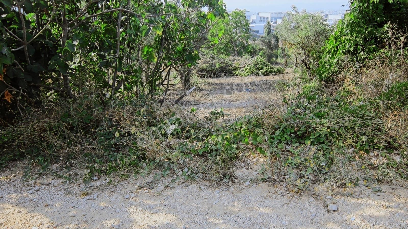 Bursa Nilüfer Kayapa 5000 Lik Villa Planında 632 M2 Arazi - Görsel 26