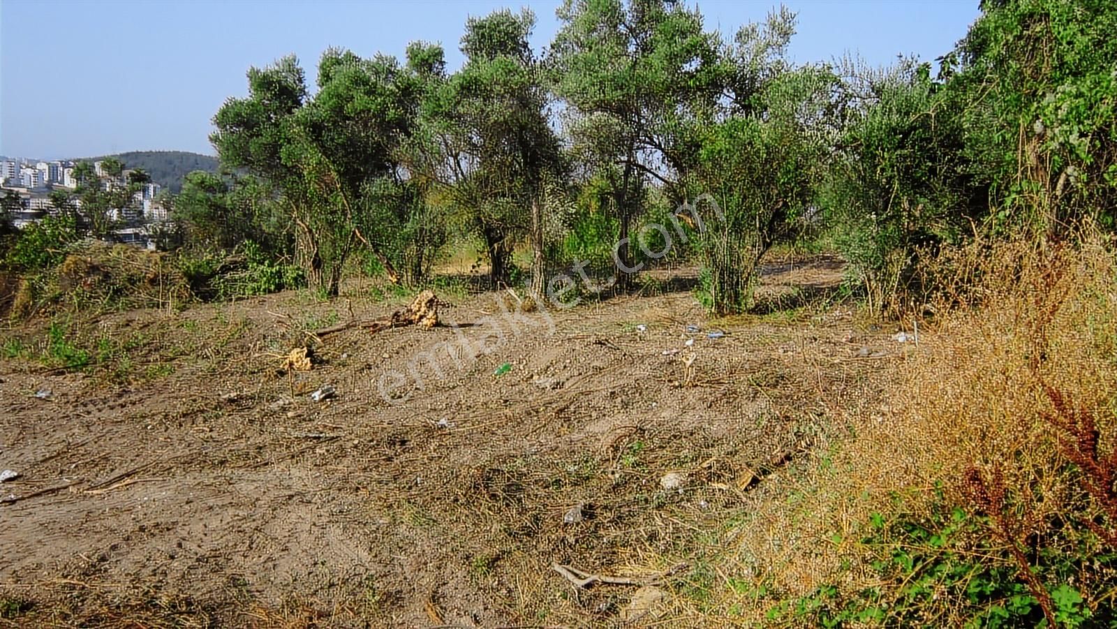 Bursa Nilüfer Kayapa 5000 Lik Villa Planında 632 M2 Arazi - Görsel 28