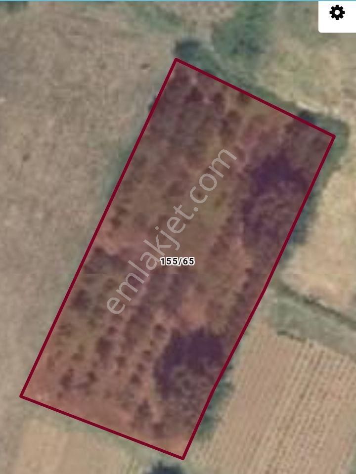 Bursa İnegöl Kurşunlu Mah 3.400m2 Satılık Tarla - Görsel 2