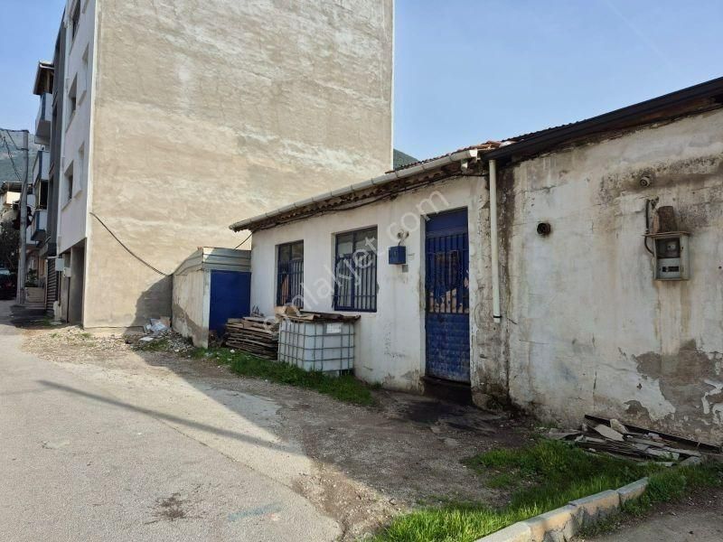 C21 Cius; Eşref Dinçer Mahallesinde 3 Kat Konut İmarlı Arsa