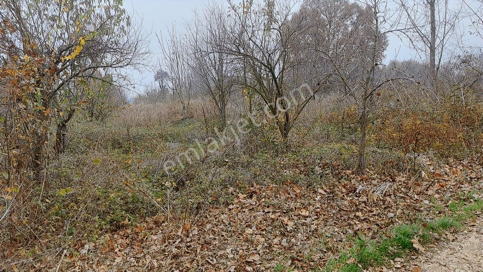 Bursa Nilüfer Çalı Da 2900 M2 Müstakil Yatırımlık Arazi - Görsel 10