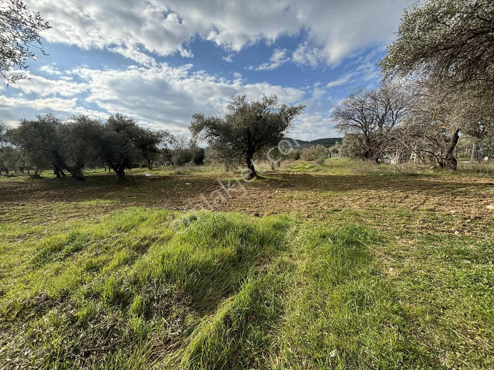 Torbalı Çapak'ta Satılık 5000 M2 Tarla Elektrik Su Dibinde - Görsel 5