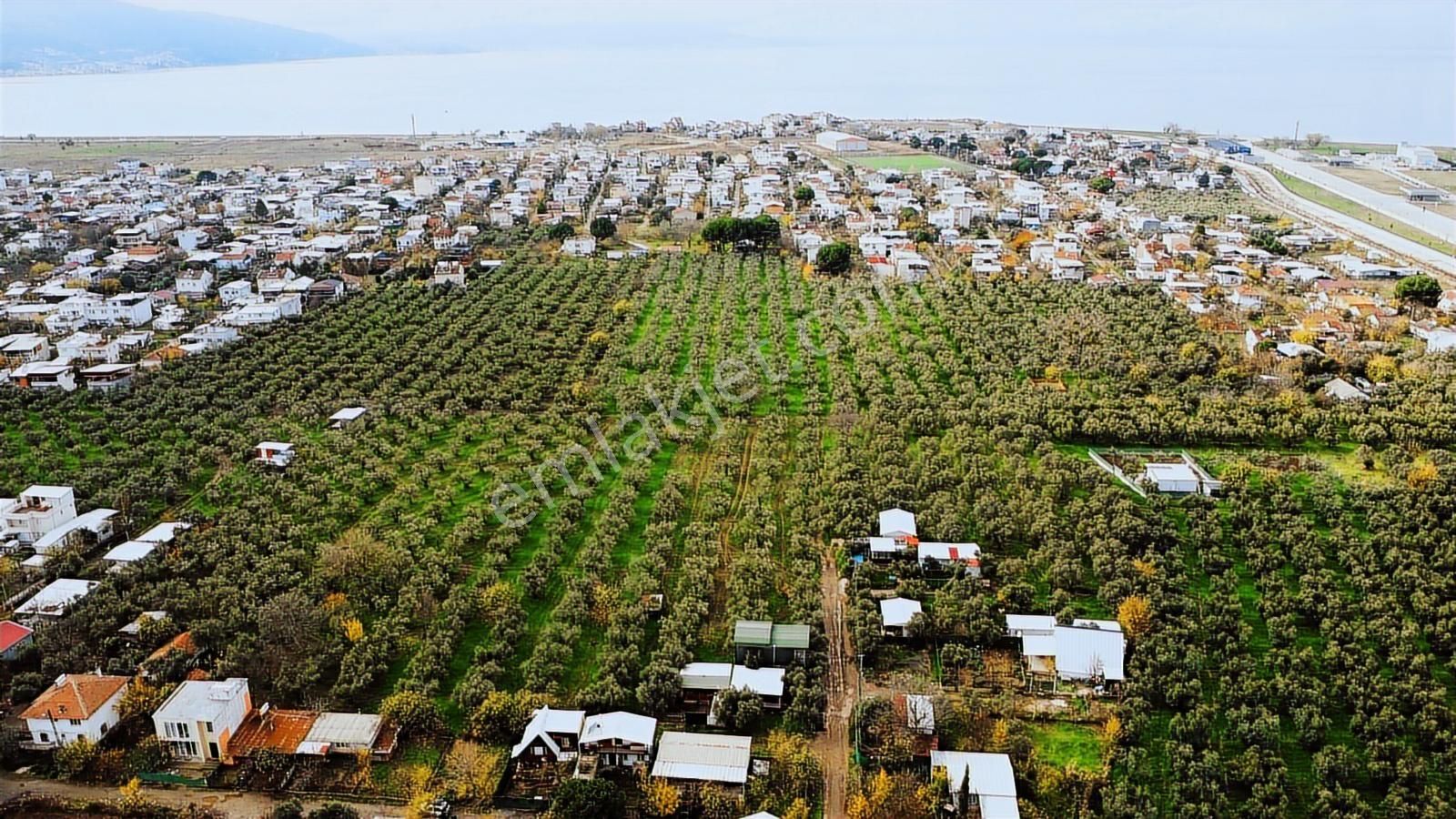 Gemlik/gençali Köyünde Harika Konumda Projeli 924m2 Tarla