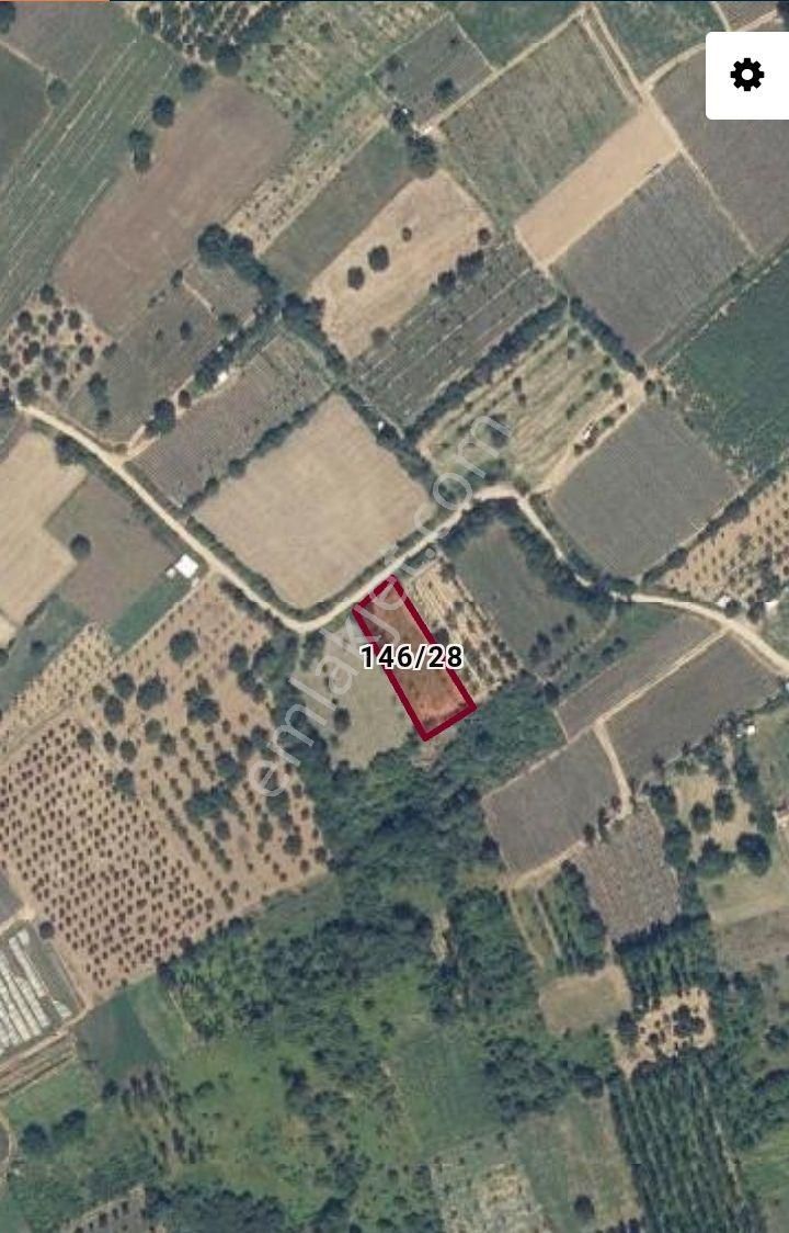 Bursa İnegöl Kurşunlu Mah 1.357m2 İçind Karşık Meyva Ağaçaları Var Kadastro Yolu Açık Satılık Tarla