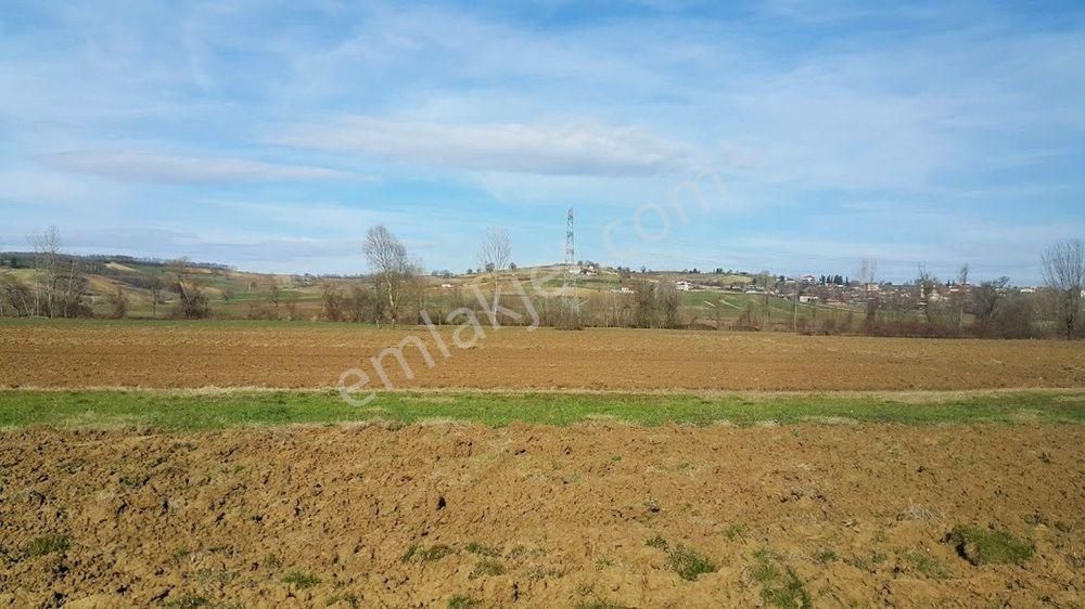 Adapazarı Örentepe Mahallesinde Satılık 891 M2 Tarla - Görsel 5