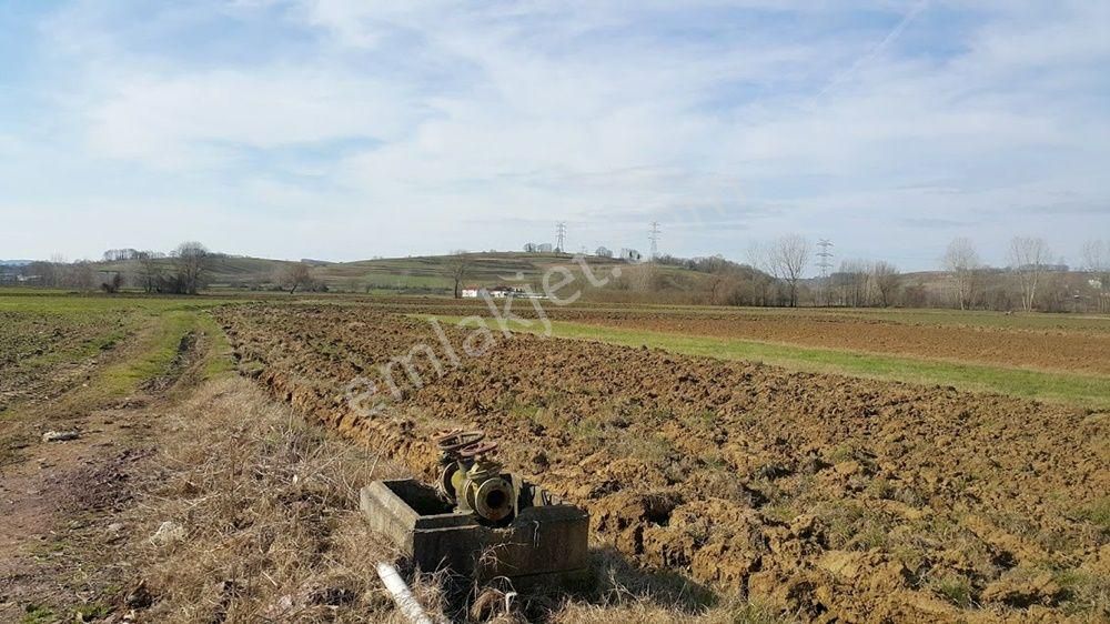 Adapazarı Örentepe Mahallesinde Satılık 891 M2 Tarla - Görsel 3