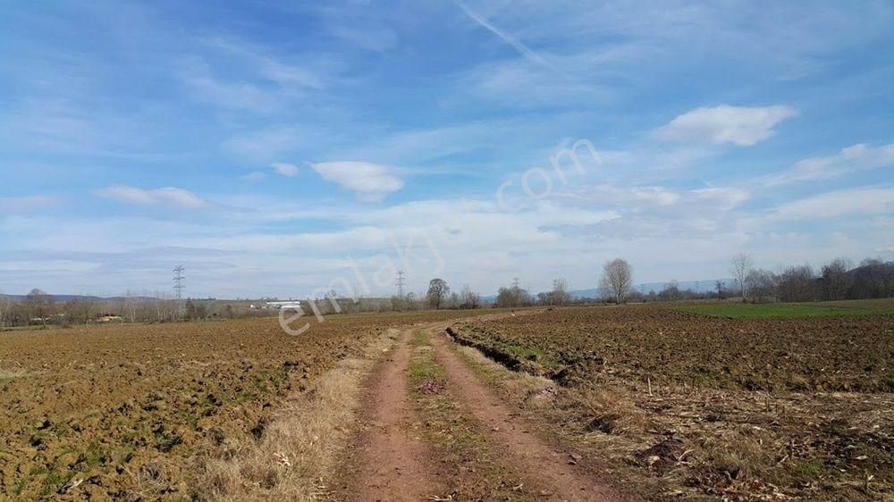 Adapazarı Örentepe Mahallesinde Satılık 891 M2 Tarla - Görsel 4