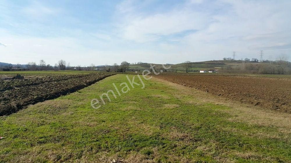 Adapazarı Örentepe Mahallesinde Satılık 891 M2 Tarla