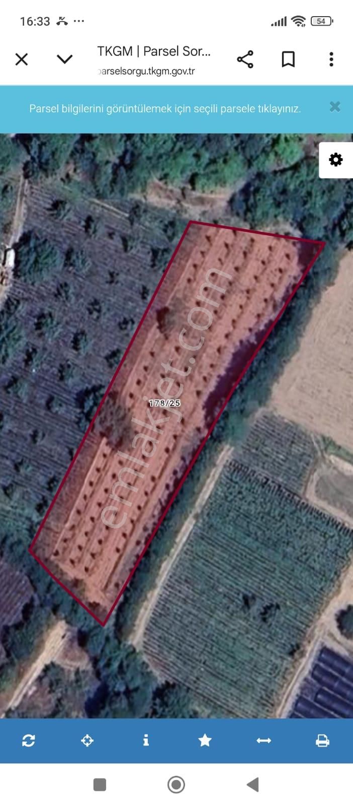 Bursa İnegöl Kurşunlu 2.900m2satılık Tarla - Görsel 3