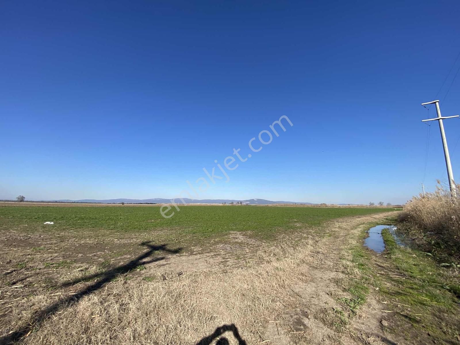 Beynil'den Karacabey Yolağzın'da Satılık 40 Dönüm Tarım Arazisi