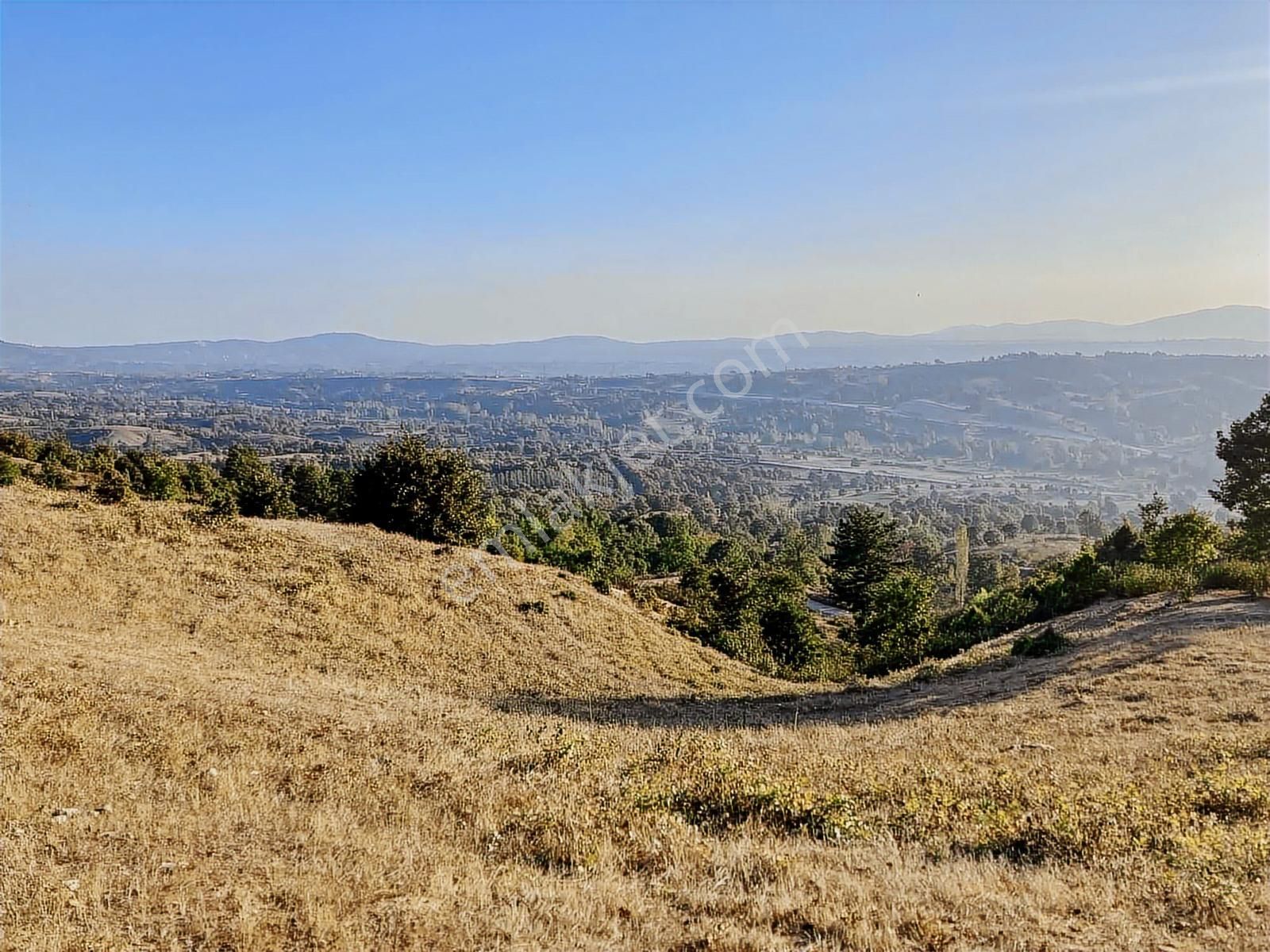 Beynil'den Orhaneli Söğüt Köyünde Satılık 30 Dönüm Tarla